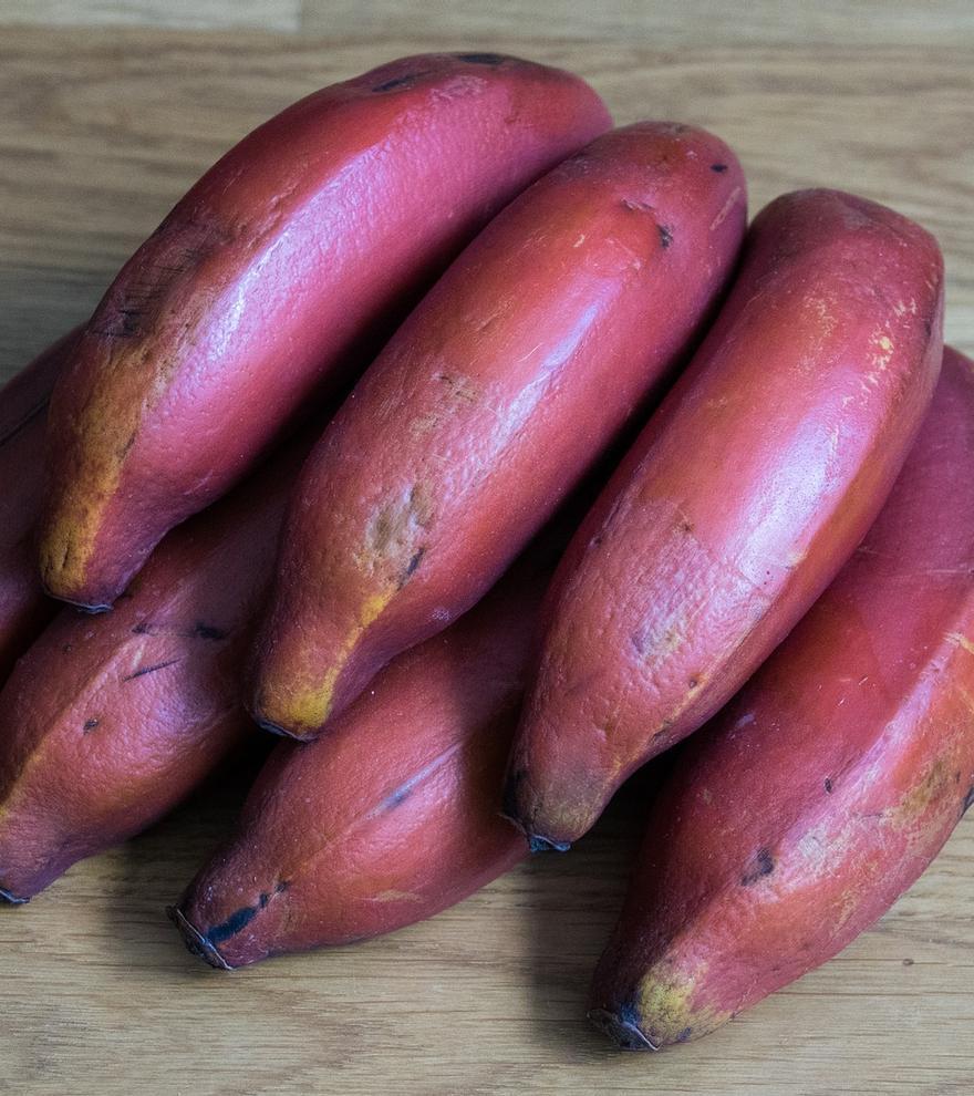 La banana vermella: què és i quines propietats té?