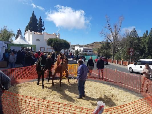 Finaliza la I Feria de las Tradiciones del municipio de Artenara