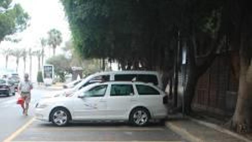 Parada de taxis en Torrevieja.