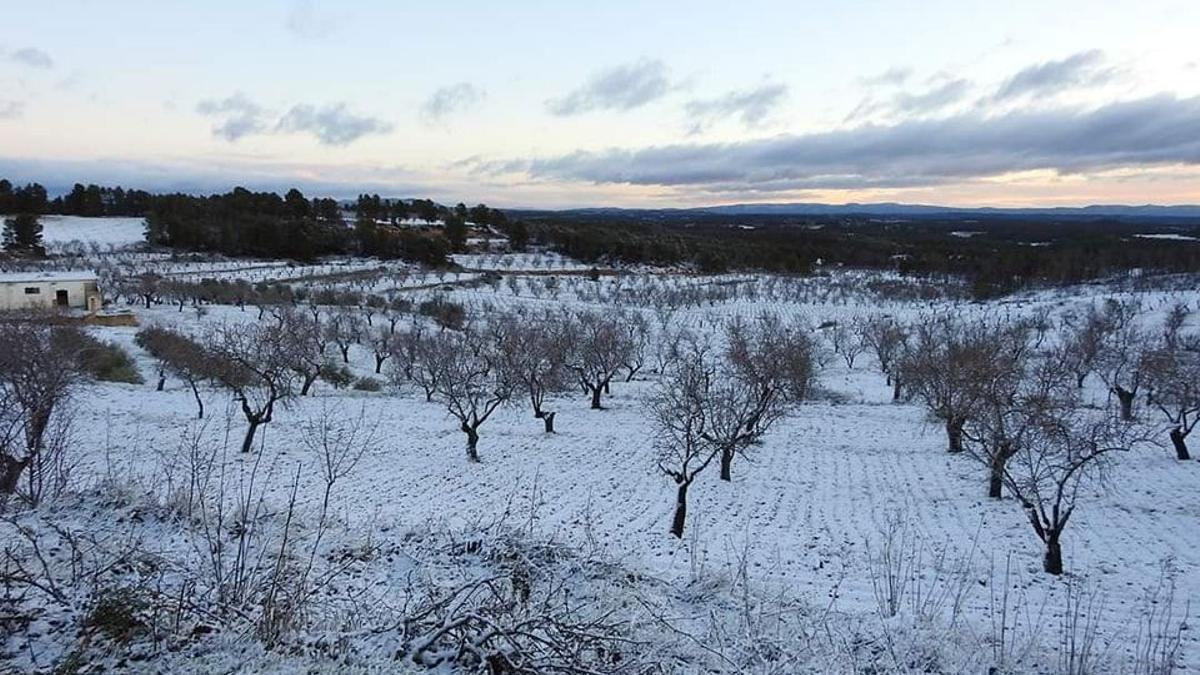 Campos cubiertos de nieve en la zona de Requena.