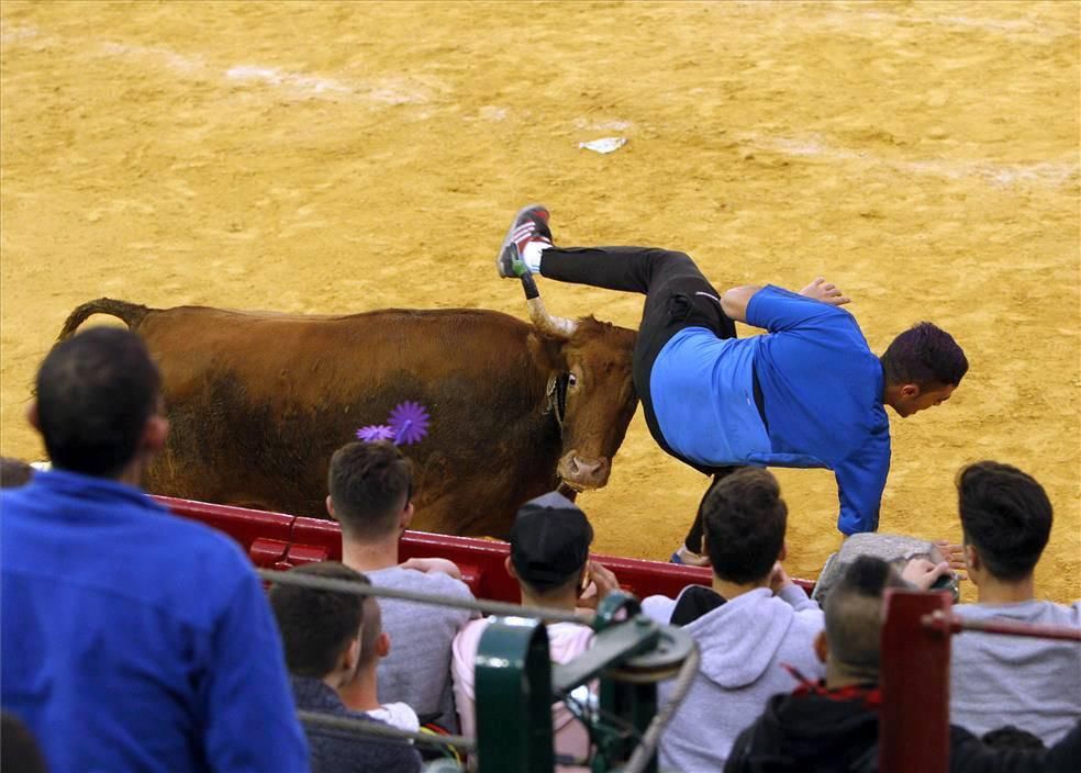 Mejores momentos de las Vaquillas