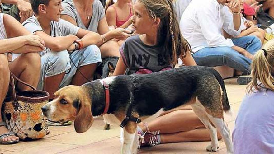 Desfile canino para despedir el verano