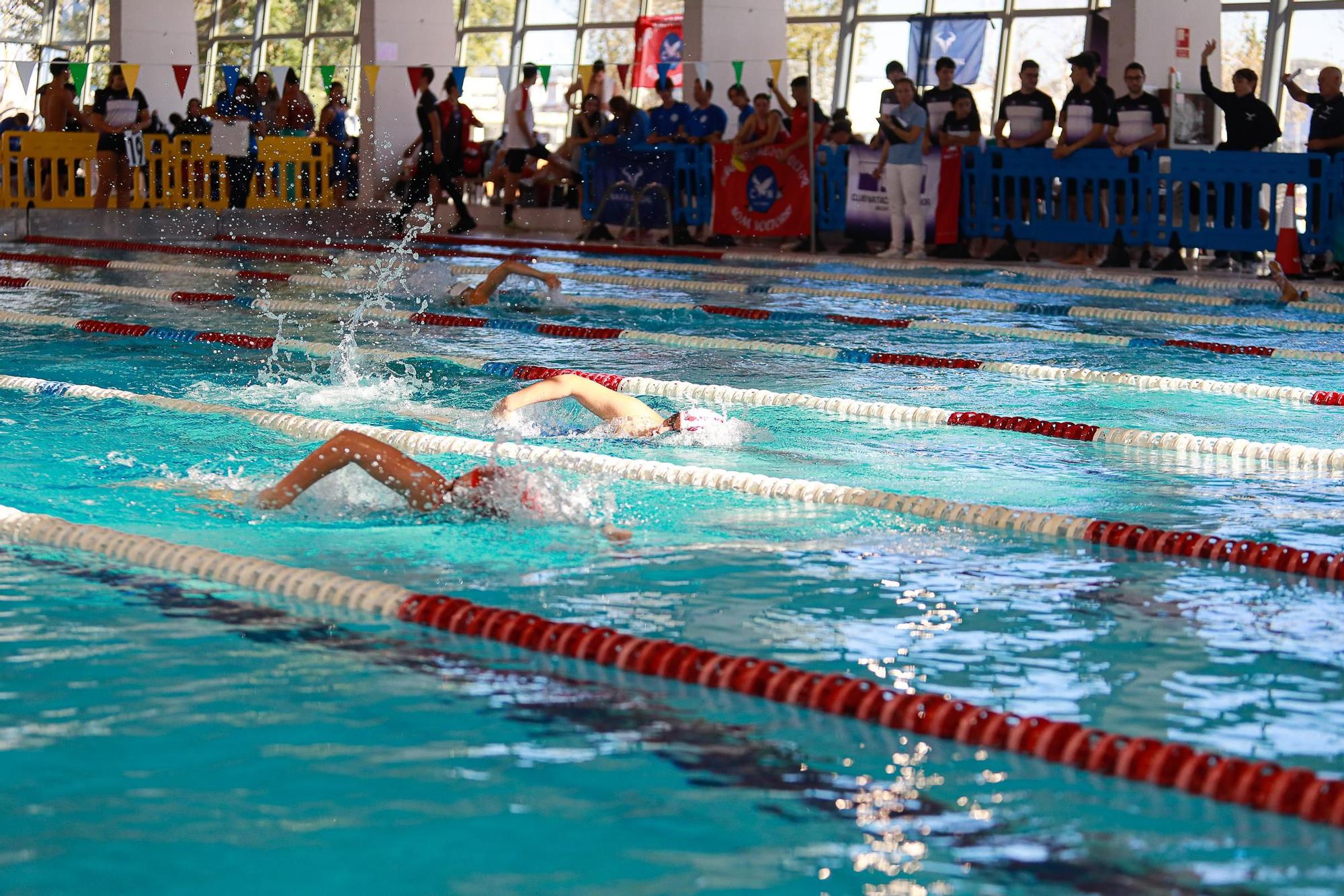 Todas las imágenes del campeonato de natación celebrado en Ibiza este fin de semana