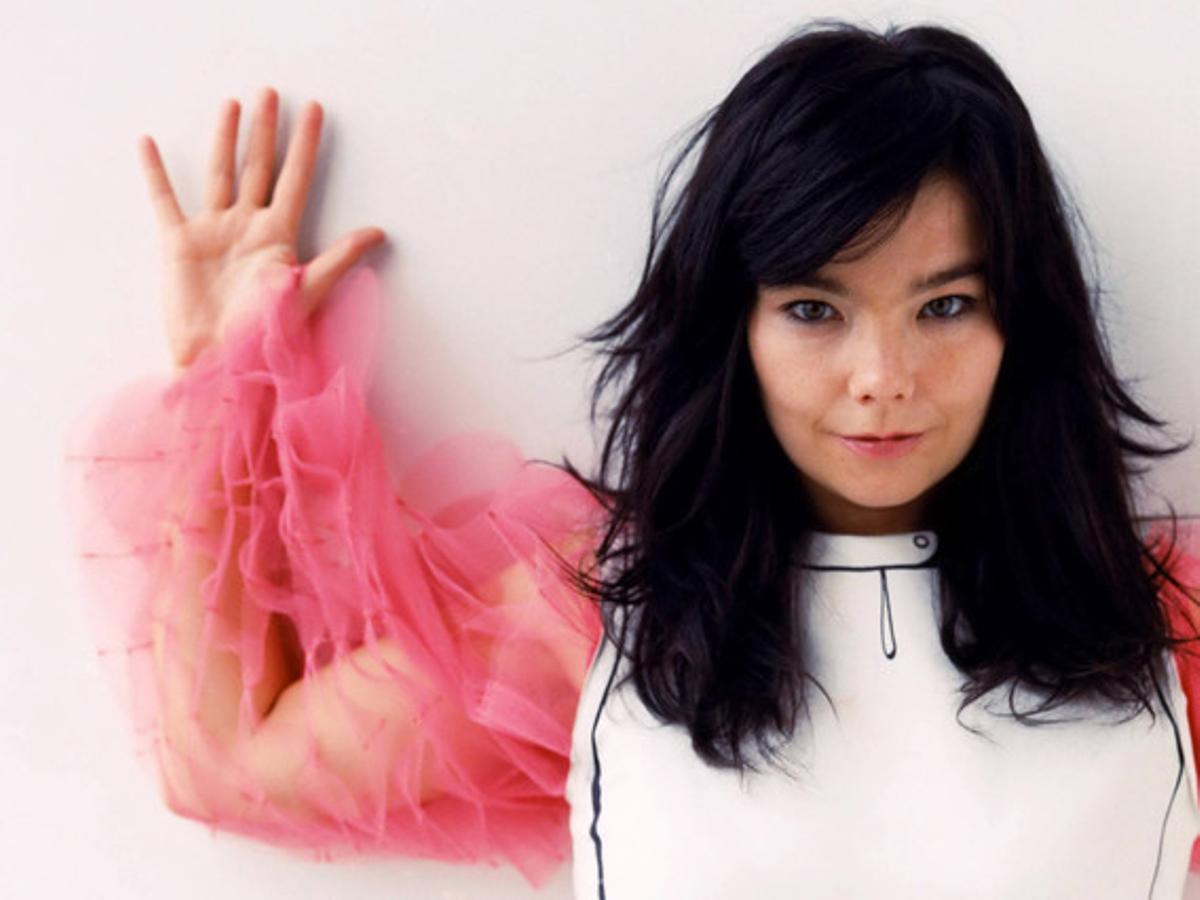 Björk, en una imatge promocional.