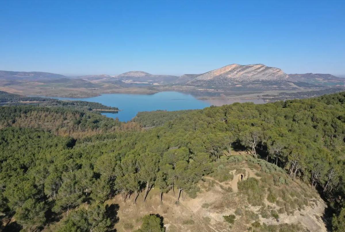 La Necrópolis de Las Aguilillas, en el término municipal de Campillos, un entorno prehistórico perfecto para visitar en familia