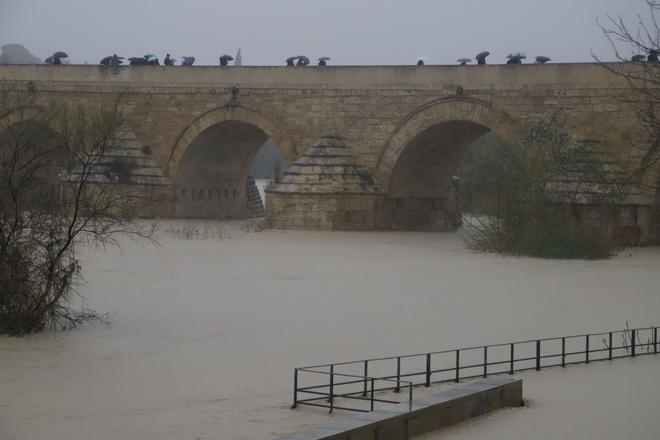 El Guadalquivir entra en el umbral naranja a su paso por Córdoba