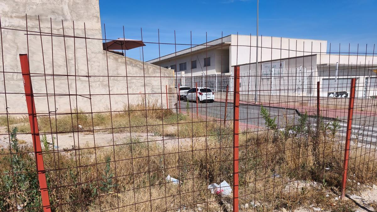 Un solar en Molina de Segura con bastante maleza acumulada.