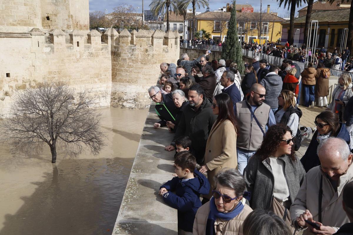 Los cordobeses disfrutan del sol al aire libre tras multitud de días de lluvia intensa