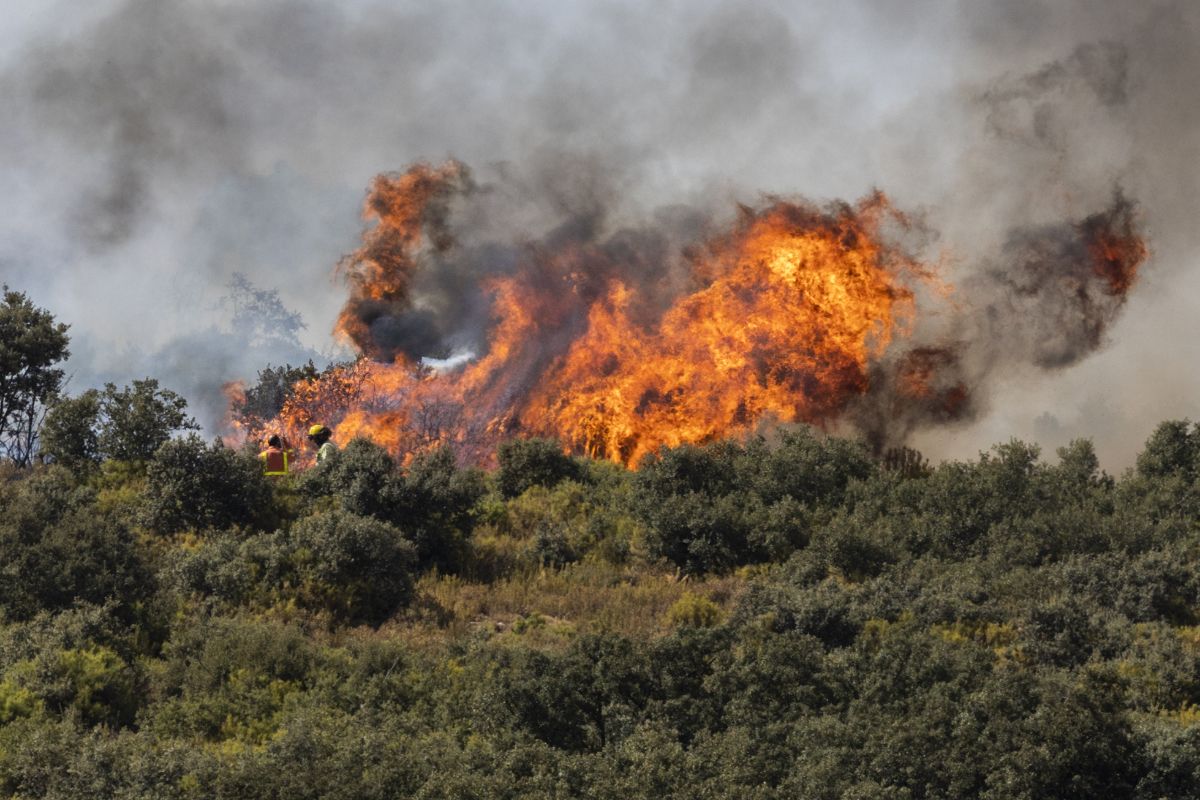 El incendio de Bejís, en imágenes