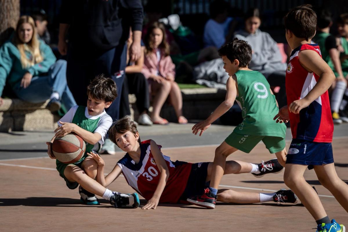 En imágenes | La emoción del baloncesto escolar se vive al máximo en el torneo del Colegio Doctor Azúa