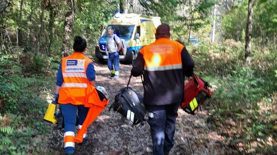 Muere un hombre tras caerle encima un árbol en Pontevedra