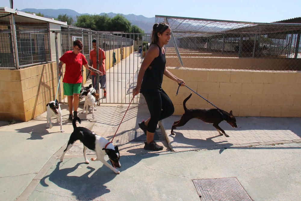 Visita a la Protectora de Animales y Plantas de Málaga