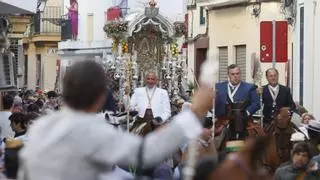 Sevilla camina a El Rocío: las hermandades de la capital inician su peregrinación hacia la ermita