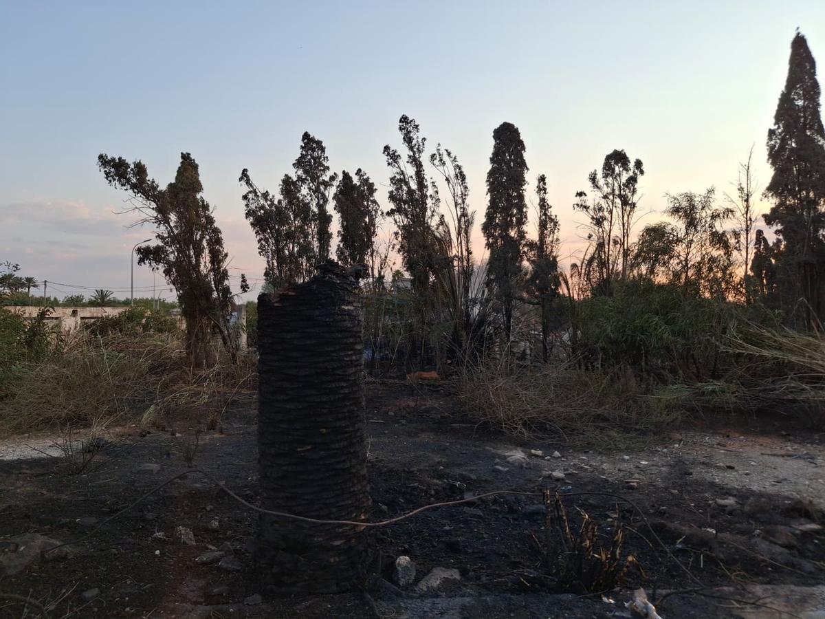 Un tramo de duna calcinado y escombros, abandono y cenizas: el estrago del incendio de Dénia junto a la playa del Raset