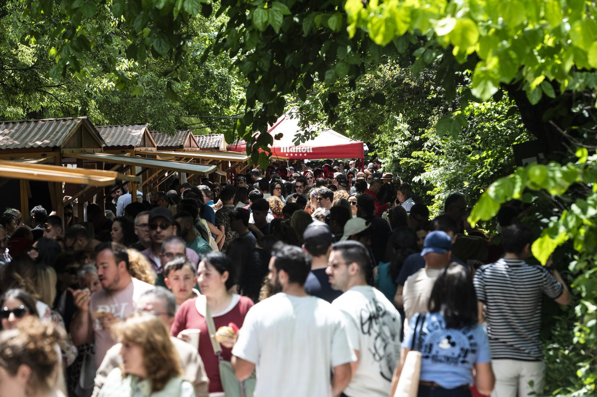 FOTOGALERÍA | Búscate en las fotos de Extregusta, este sábado en Cáceres