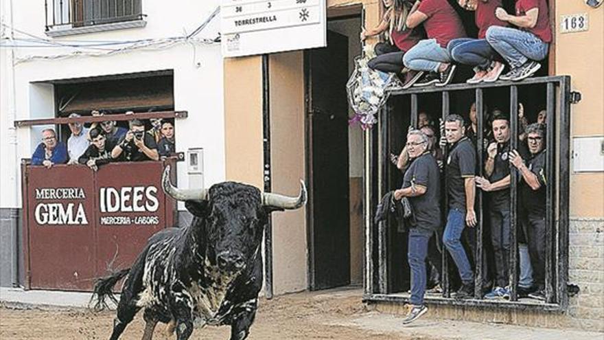 El apartado taurino suma un astado más hasta alcanzar un total de ocho