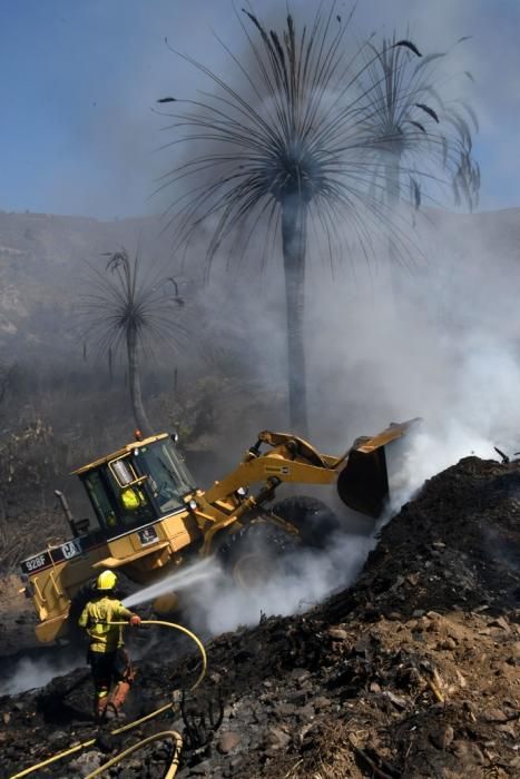 18/03/2019 FATAGA. SAN BARTOLOME DE TIRAJANA.  Incendio en Fataga, en la Finca Rural, Molino de Agua. Fotografa: YAIZA SOCORRO.  | 18/03/2019 | Fotógrafo: Yaiza Socorro