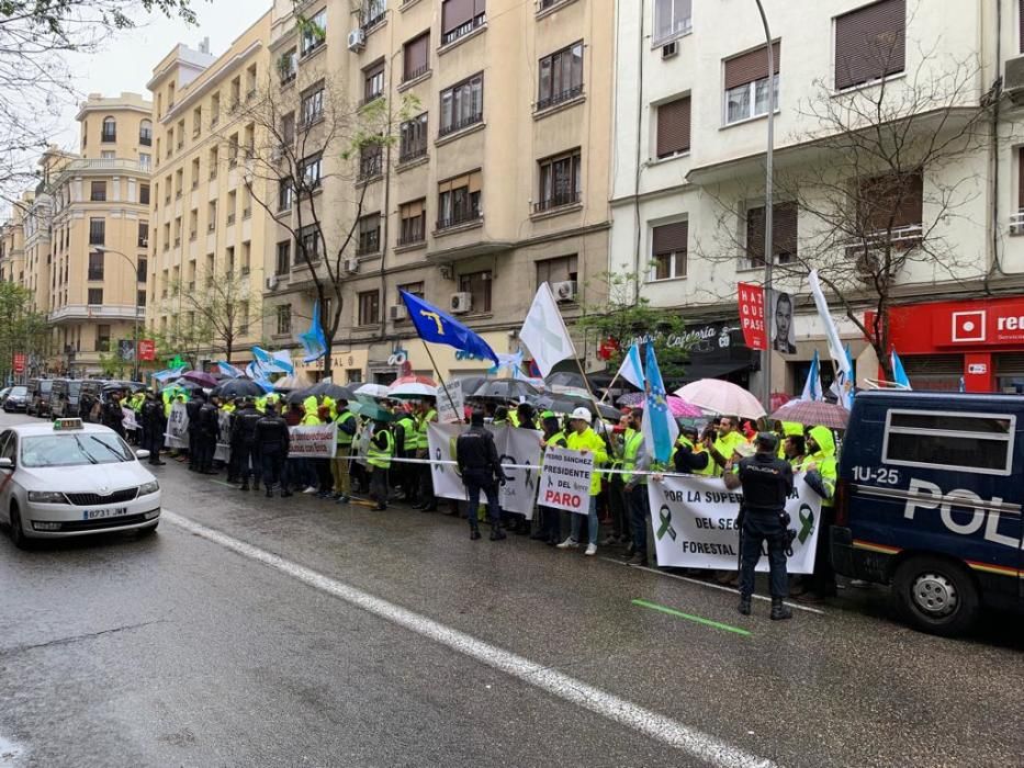 Los trabajadores de Ence llevan sus protestas a Ferraz