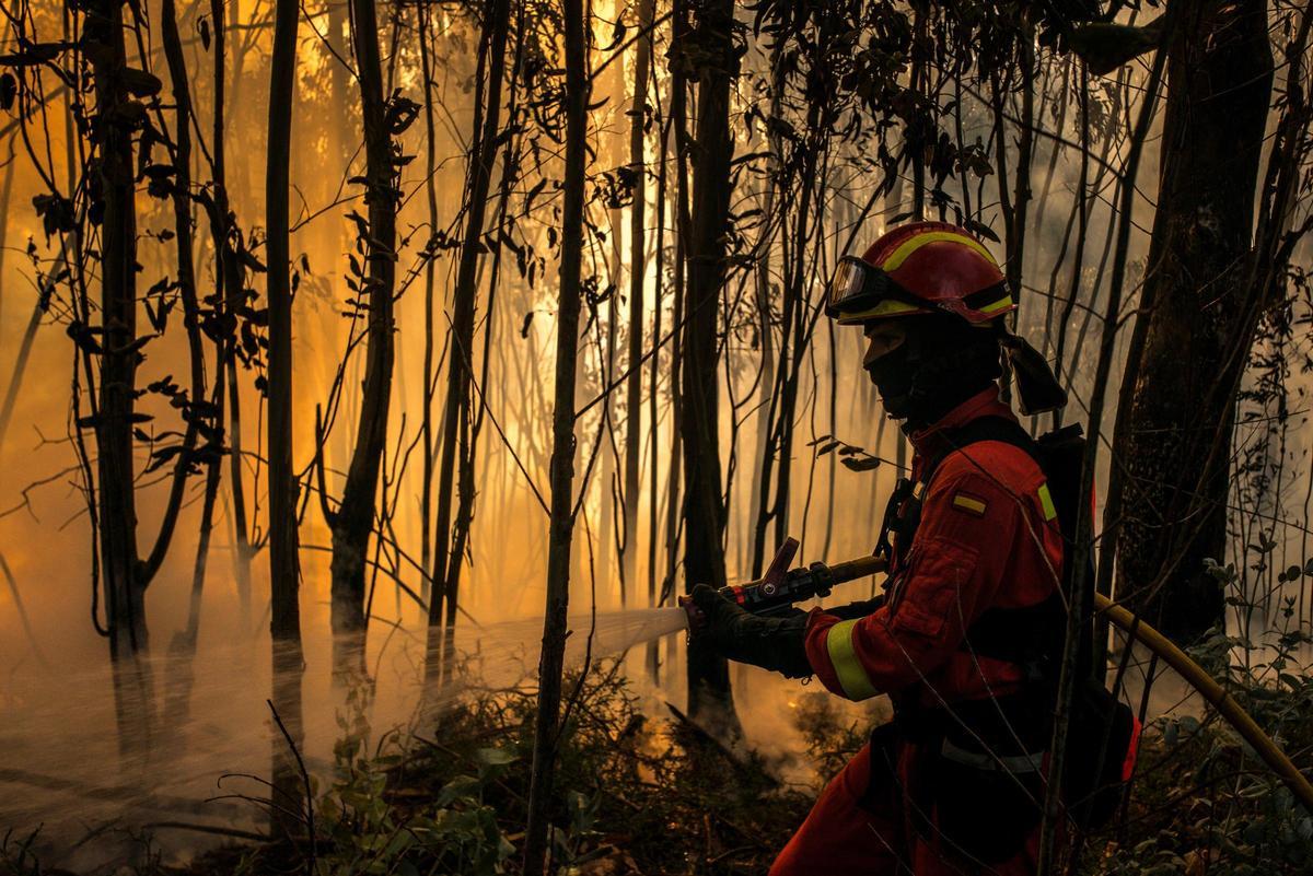 Incendio en el concello de Toén de este mismo año