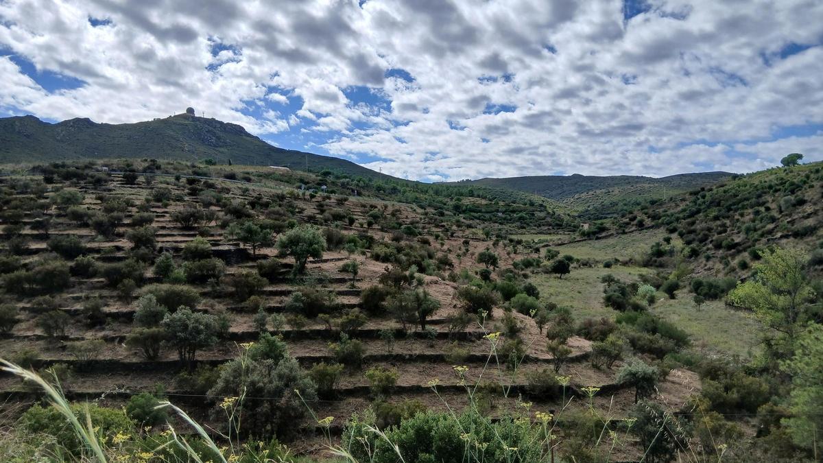 La zona on s'han portat a terme treballs contra incendis, al cap de Creus.