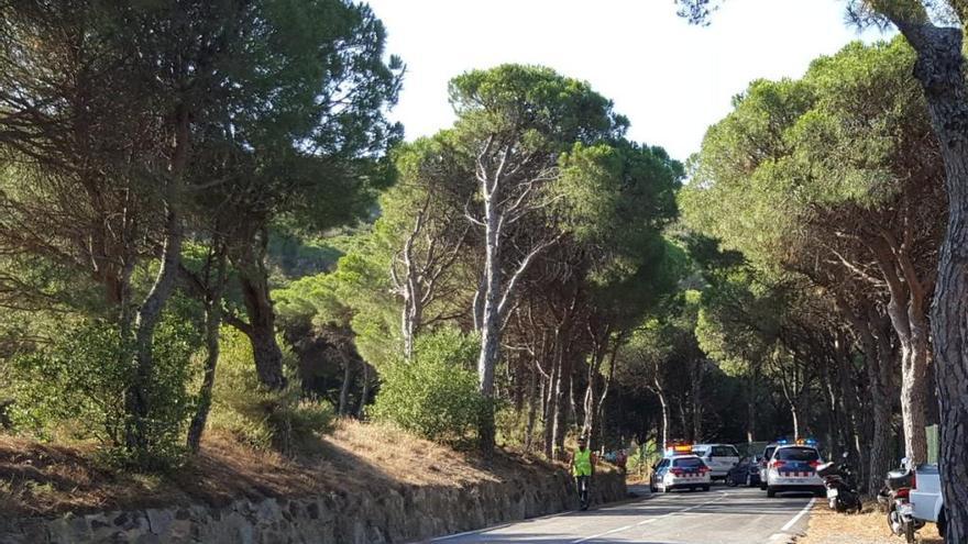 Els efectius d&#039;emergència treballant a la zona de l&#039;accident.