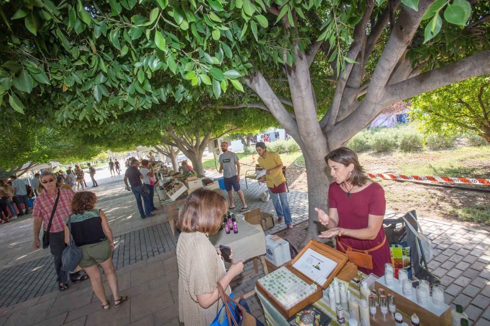 12 campanadas o comida vegana en foodtrucks para dar la Bienvenida a la UA