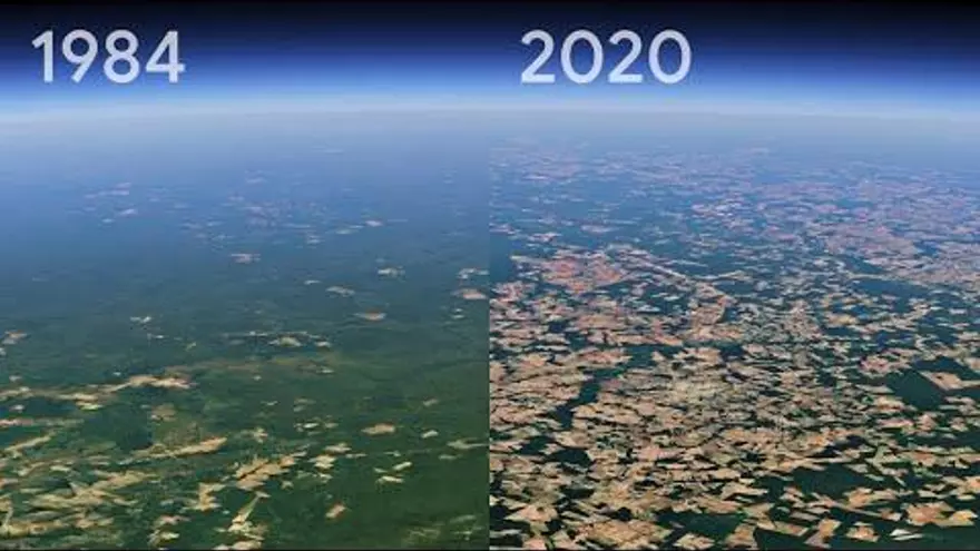 La desforestació del planeta a vista de satèl·lit