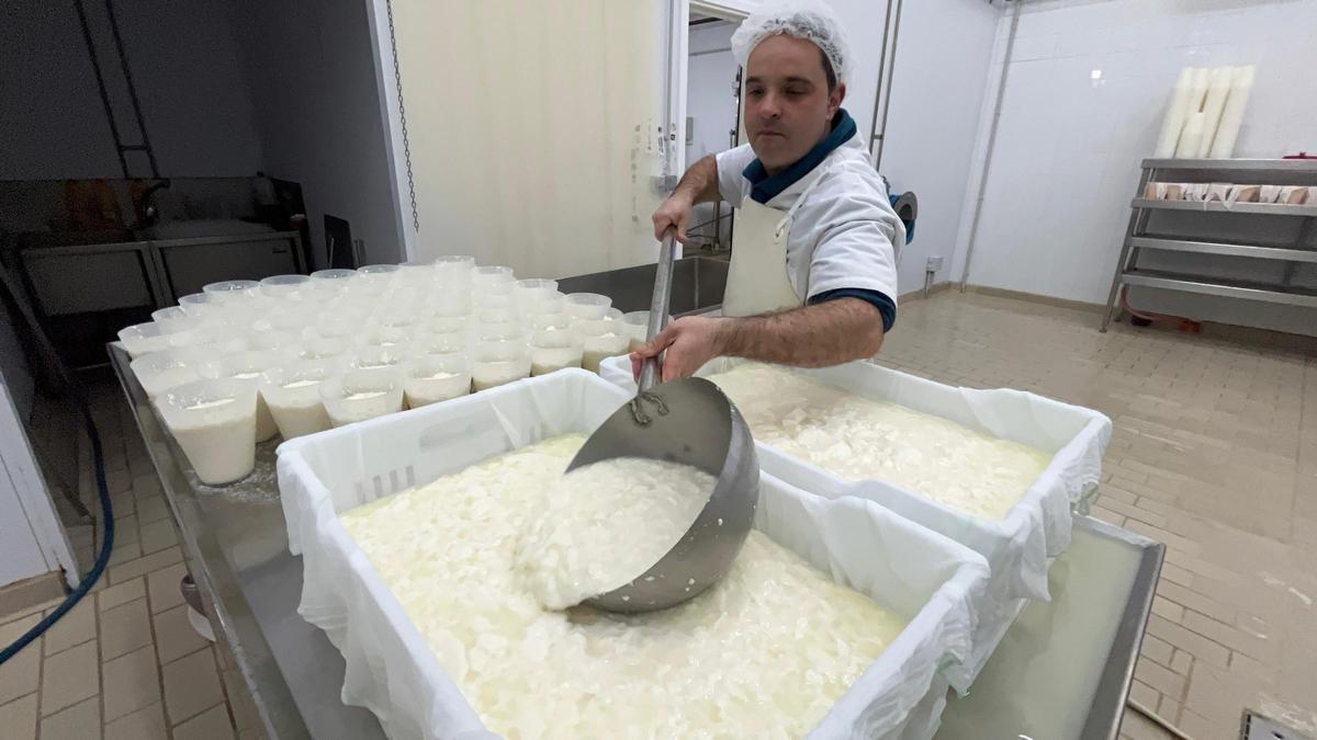 EN IMÁGENES: La quesería La Arquera y El Guaje, de Salas, "a pleno rendimiento" en la producción de Afuega'l Pito