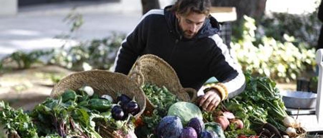 Mercado de venta directa de productos de huerta en Godella.