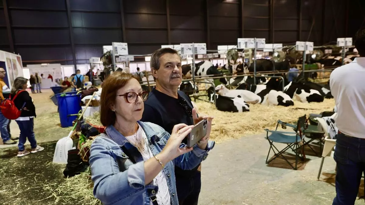 "Les mejores fabes de Asturias" y un lugar que es "un lujo para las vacas": esta es la opinión de los primeros asistentes a Agropec