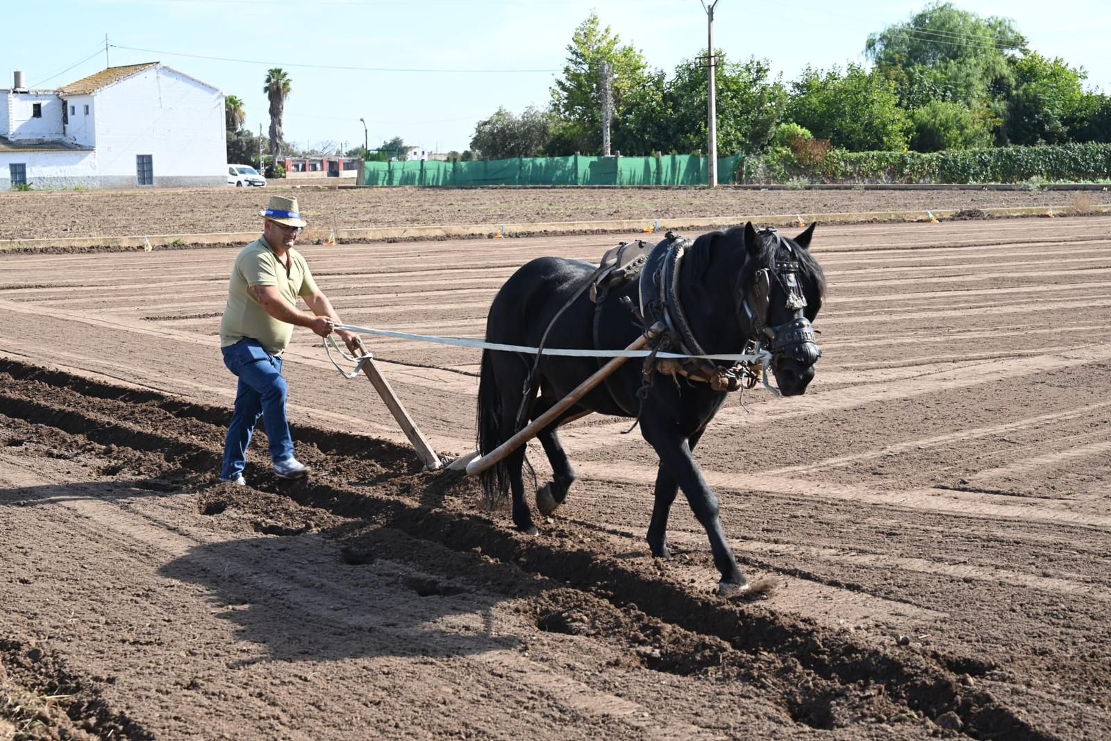 Éxito en la 26ª edición de Fimel, la feria Agrícola, Comercial y gastronómica de Meliana