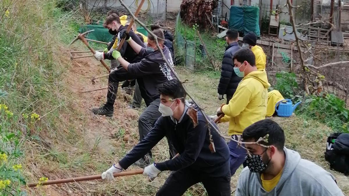 Este año han participado en la reforestación alumnos del IES Aljanadic.