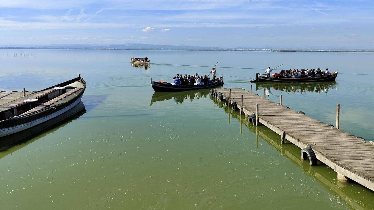 Paseo en barca por La Albufera.