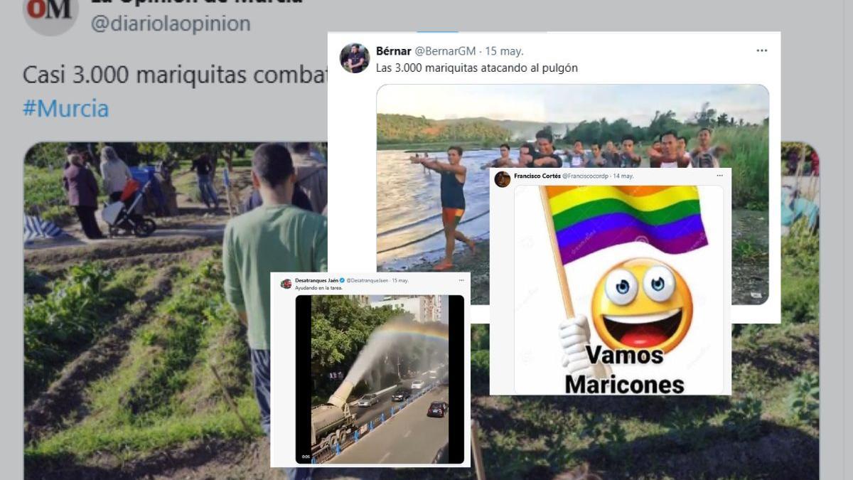 Collage sobre el meme '3.000 mariquitas contra el pulgón'