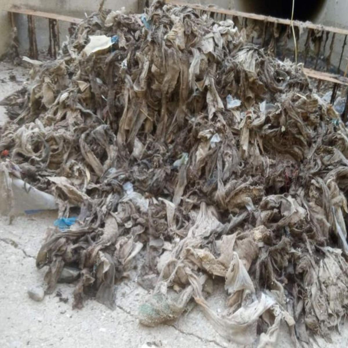 Toallitas en descomposición.  | CÓRDOBA