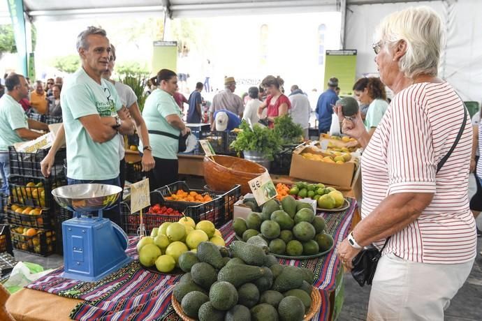 III FERIA DEL AGUACATE