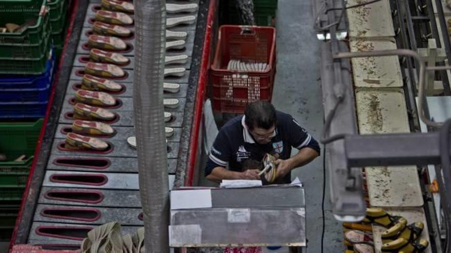 Un trabajador en una fábrica de calzado, en Elche Parque Empresarial, en la pedanía de Torrellano.