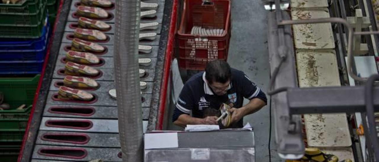 Un trabajador en una fábrica de calzado, en Elche Parque Empresarial, en la pedanía de Torrellano.