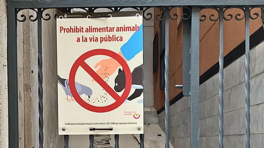 Posen cartells de no alimentar gats ni coloms | ARXIU PARTICULAR