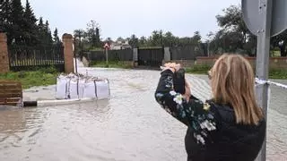 Desesperación vecinal en el Camino Viejo de Santa Pola en Elche: el barranco de San Antón vuelve a anegar la zona