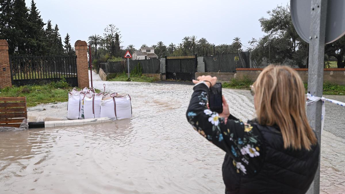 Indignación vecinal por un nuevo desbordamiento del barranco de San Antón en Elche en la carretera de Santa Pola