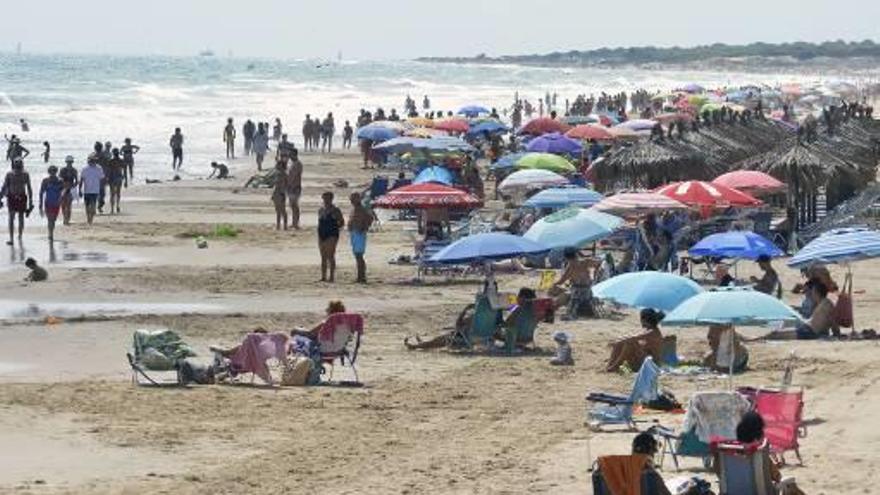 Un millar de picaduras en las playas de Elche