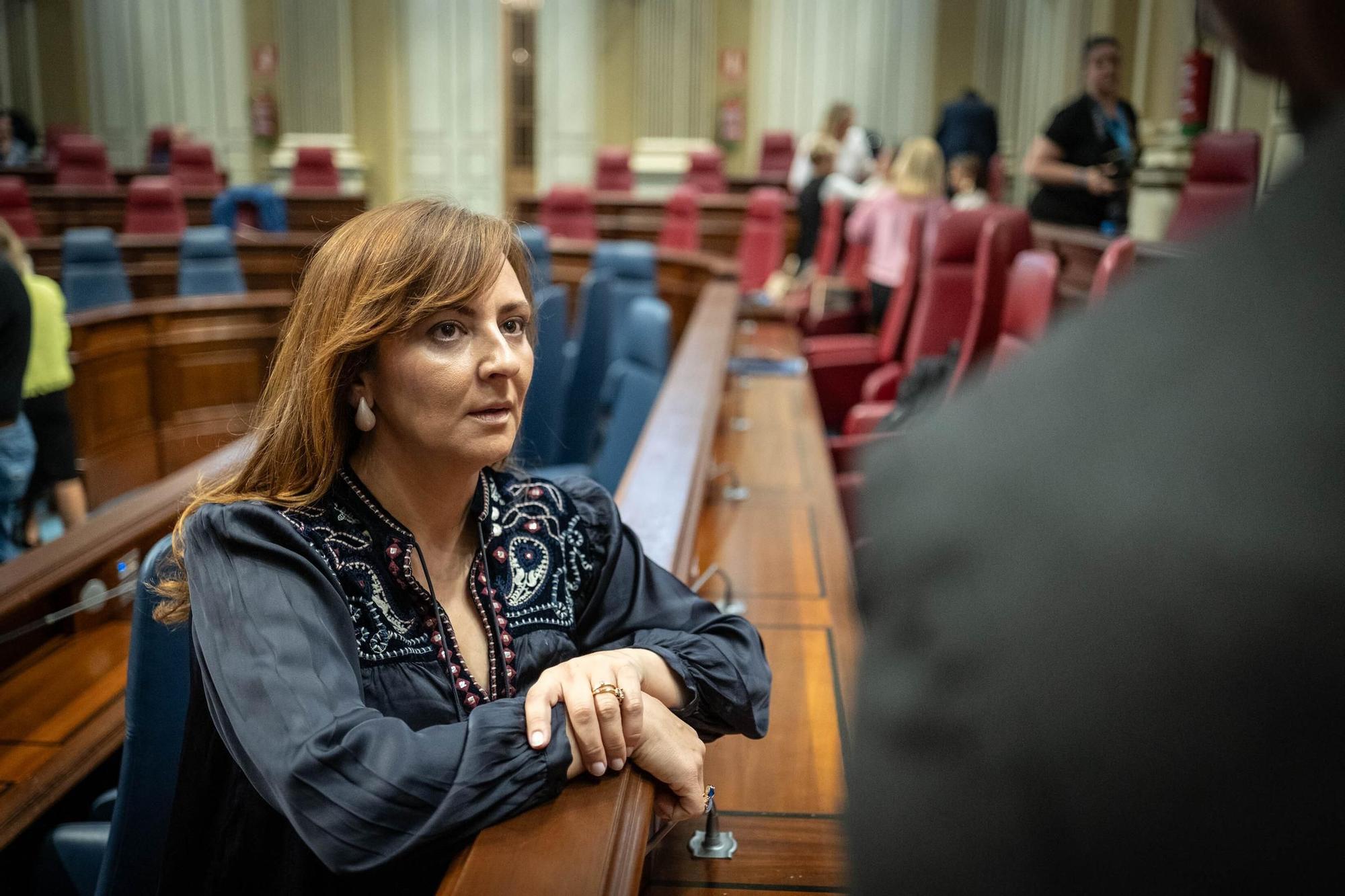 Pleno del Parlamento de Canairas (30/04/25)