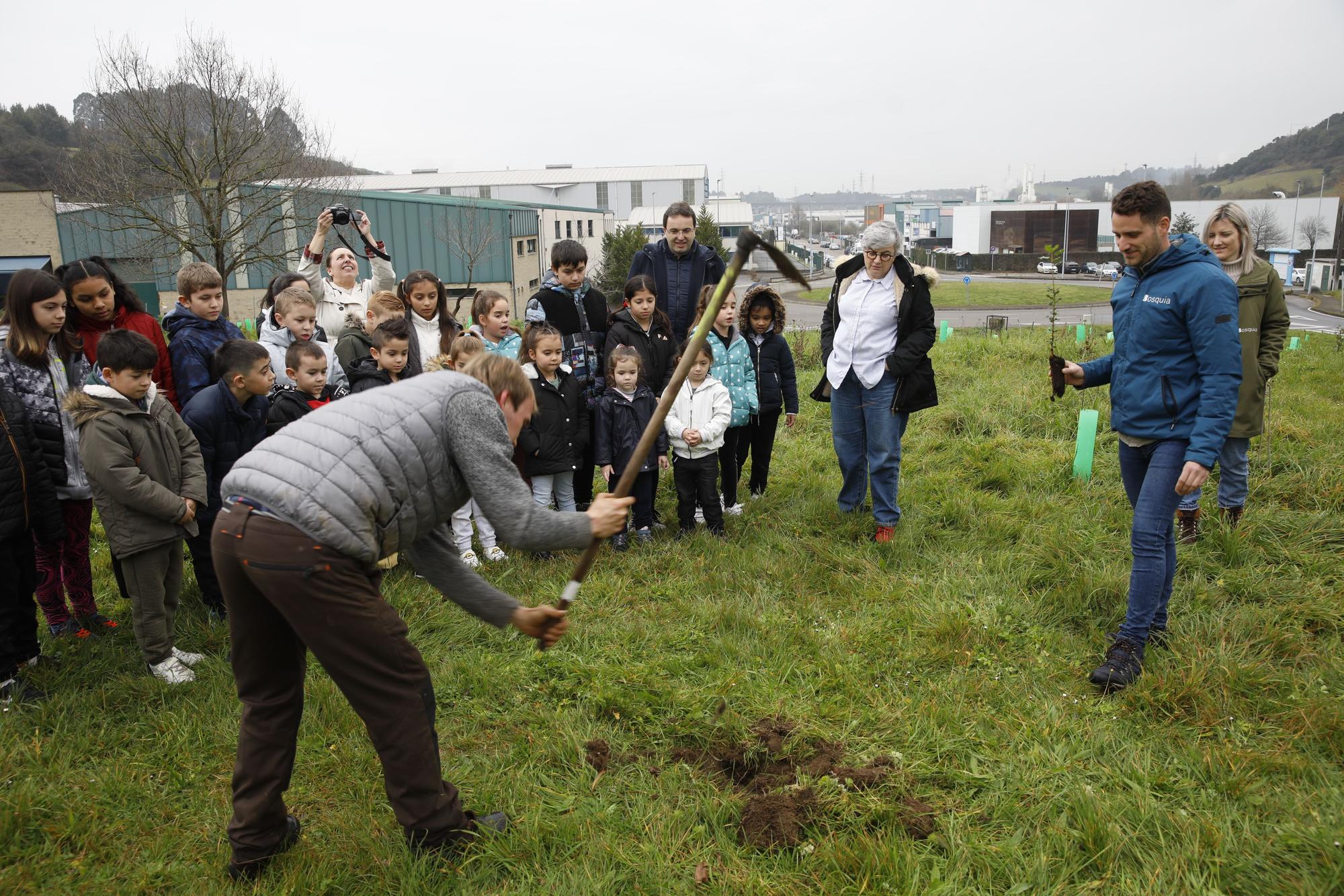 En imágenes: La alcaldesa de Gijón, en la plantación de árboles autóctonos en Somonte