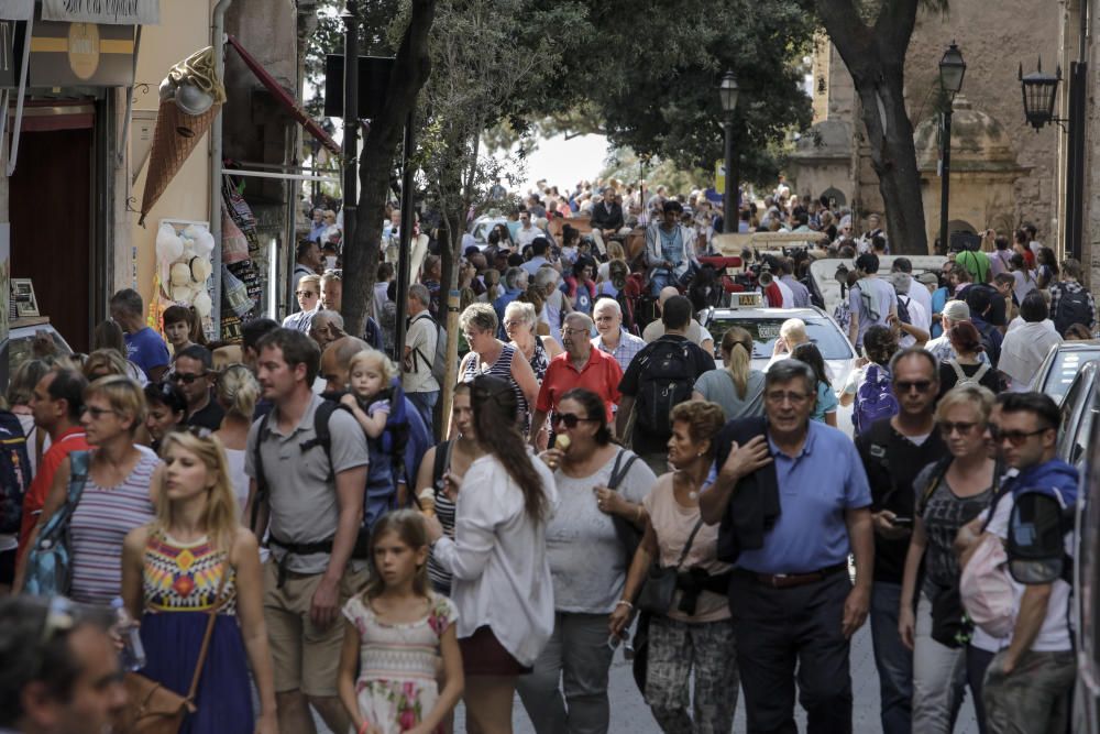 7 cruceros y más de 20.000 personas han llegado este martes a Palma