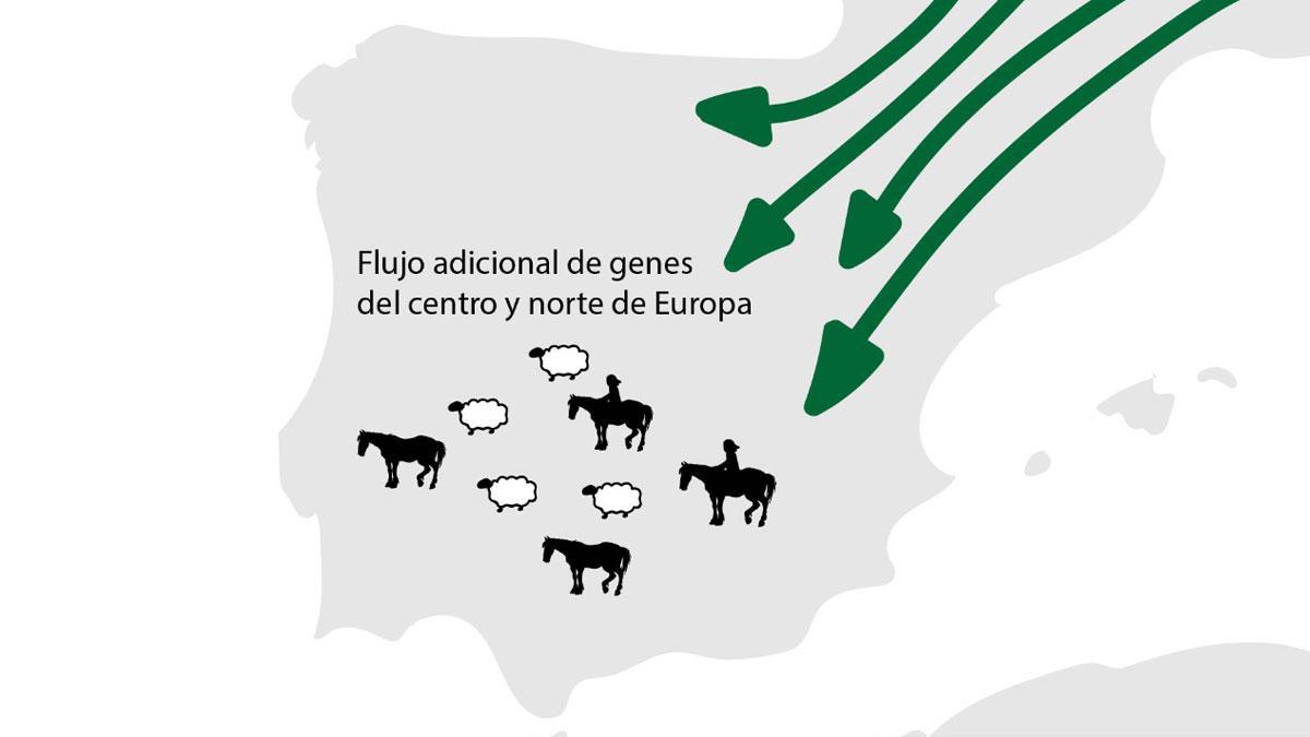 Reconstrucción de la historia genómica de la península Ibérica