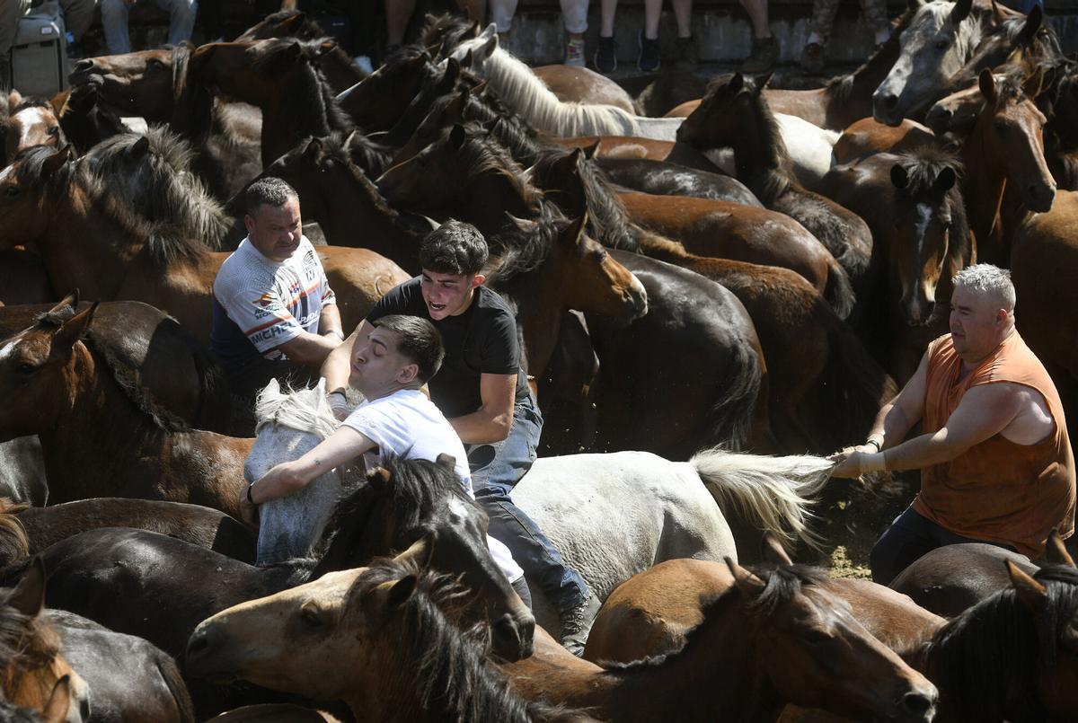 2ª Curro da Rapa das Bestas de Sabucedo, A Estrada.