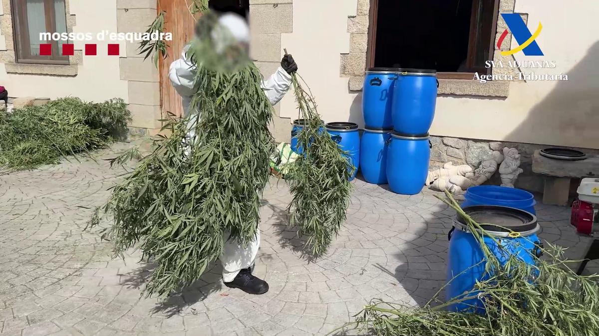 Imagen de la operación de Mossos contra el narcotráfico