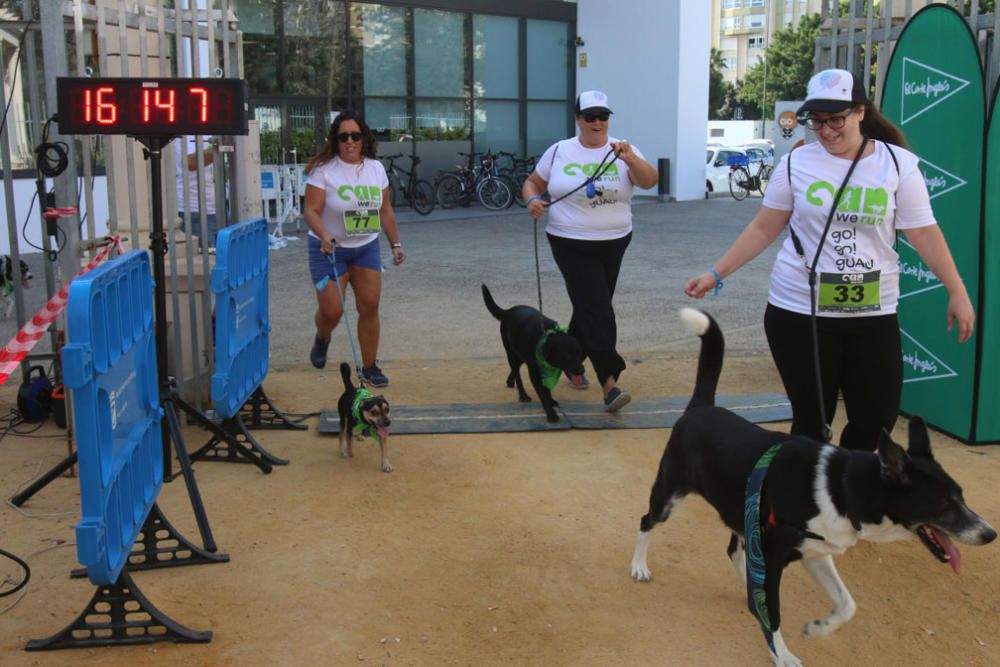 El Parque Huelin ha acogido la primera edición de un evento destinado a las mascotas y a sus dueños, con carreras en diversas categorías, actividades gratuitas y numerosos stands