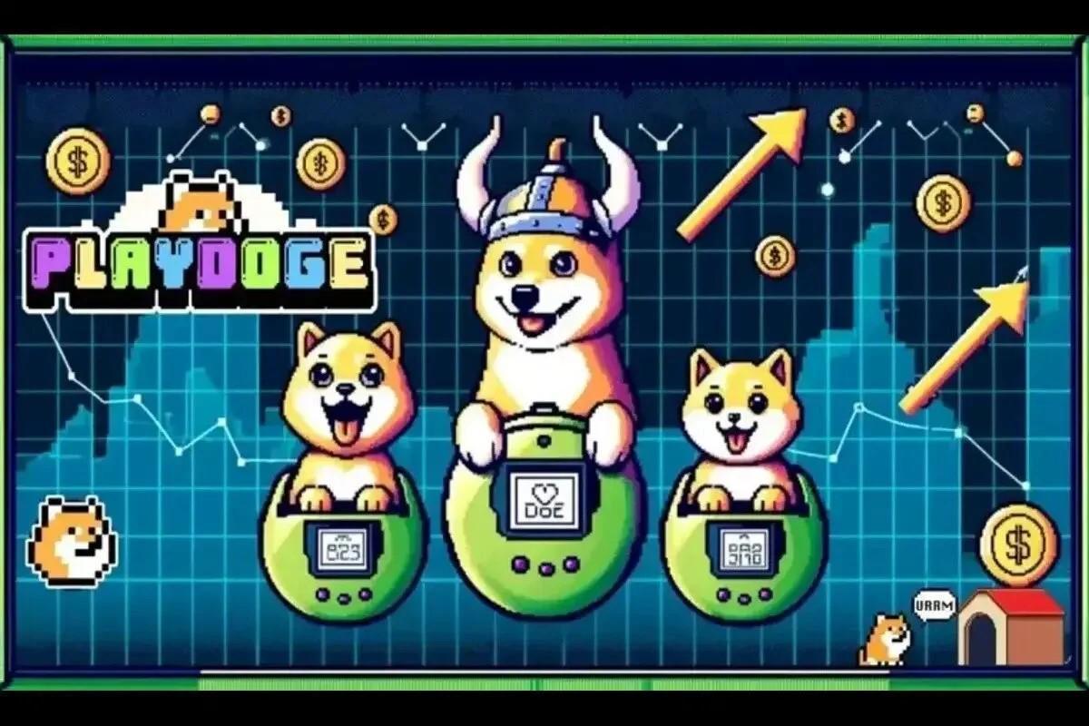 PlayDoge La nueva protagonista en el mundo de las meme coins